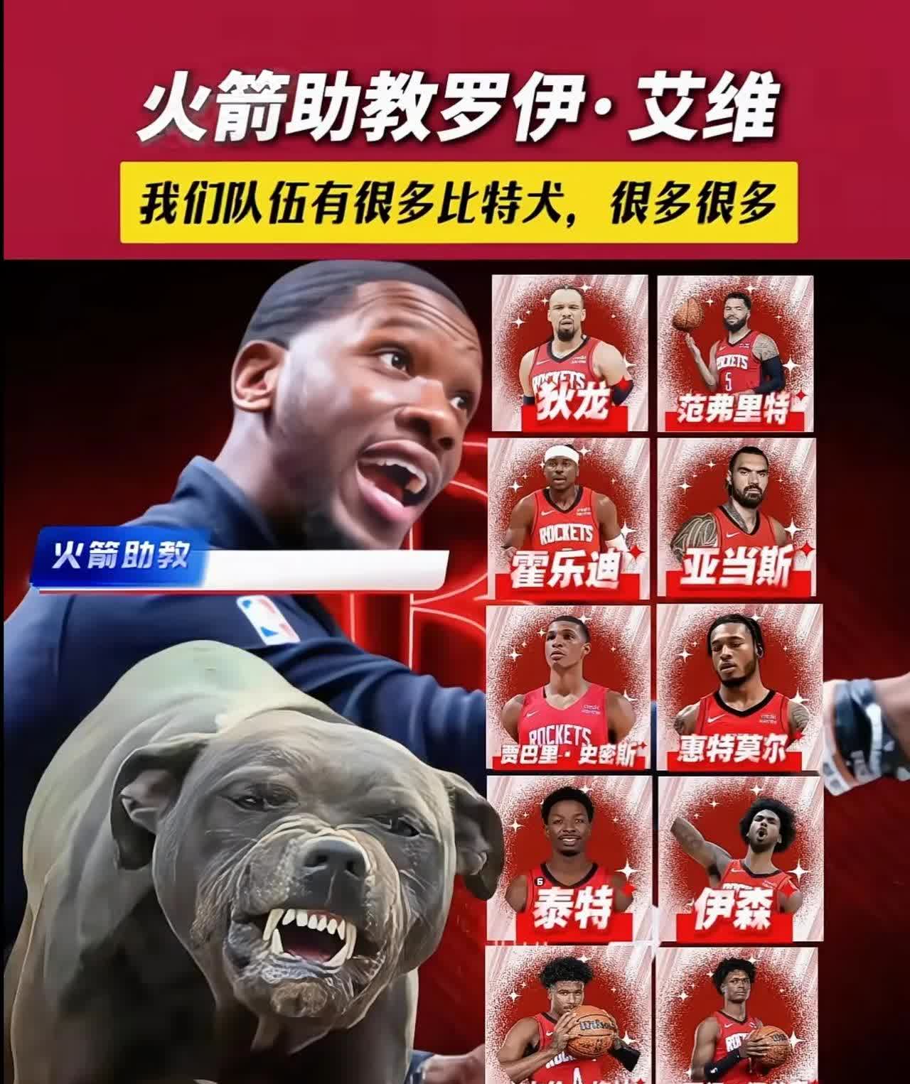 九游娱乐(jiuyou)官网-包含“猛龙的秘密：联盟最具战斗力的球队揭秘”的词条