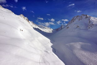 九游jiuyou-谷爱凌带动滑雪进校园活动升温，中国自由式滑雪选手谷爱凌介绍